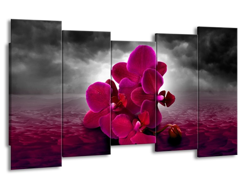 Canvas schilderij Orchidee | Rood, Grijs, Paars | 150x80cm 5Luik