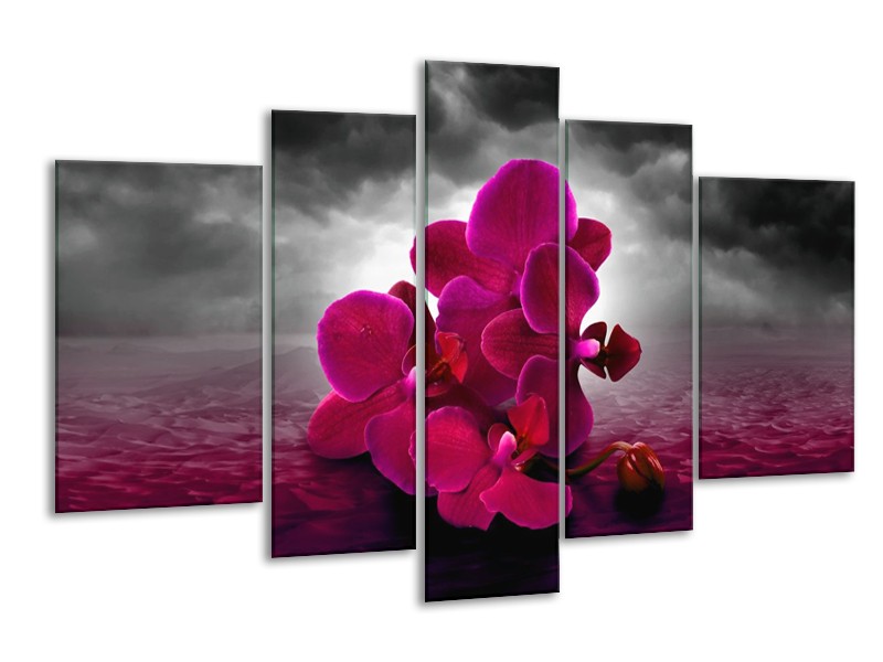 Glas schilderij Orchidee | Rood, Grijs, Paars | 170x100cm 5Luik