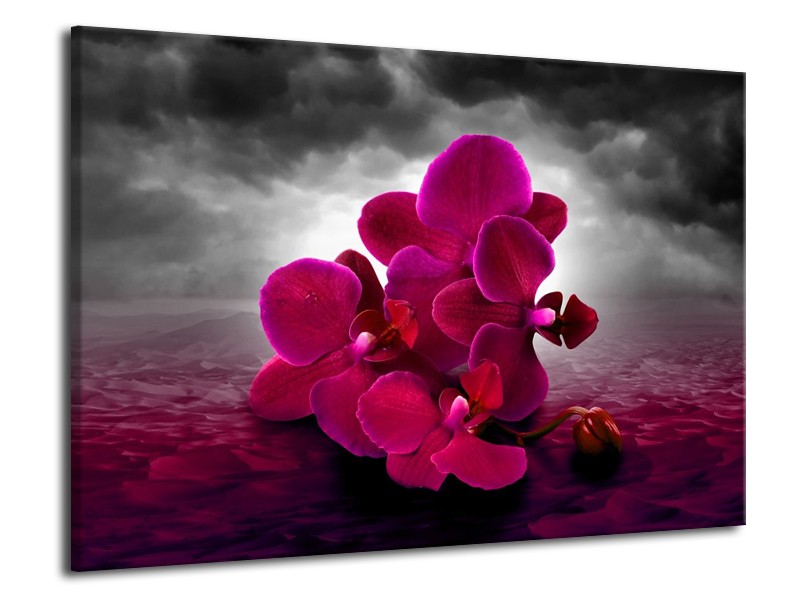 Canvas schilderij Orchidee | Rood, Grijs, Paars | 70x50cm 1Luik