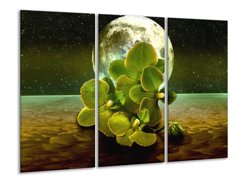 Glas schilderij Orchidee | Groen, Goud, Bruin | 120x80cm 3Luik