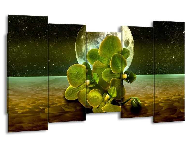Canvas schilderij Orchidee | Groen, Goud, Bruin | 150x80cm 5Luik