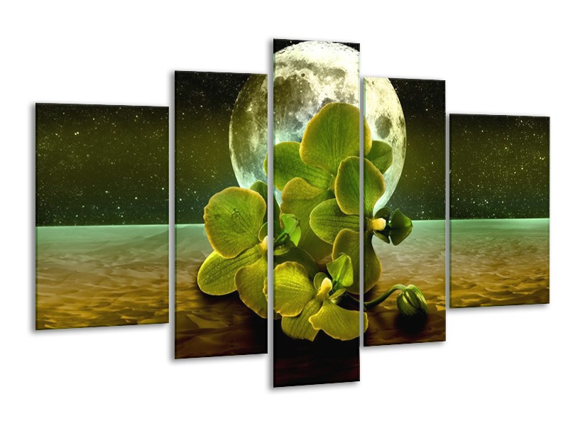 Glas schilderij Orchidee | Groen, Goud, Bruin | 170x100cm 5Luik