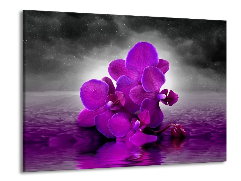 Canvas schilderij Orchidee | Paars, Grijs | 100x70cm 1Luik