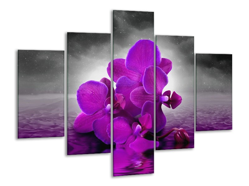 Canvas schilderij Orchidee | Paars, Grijs | 100x70cm 5Luik