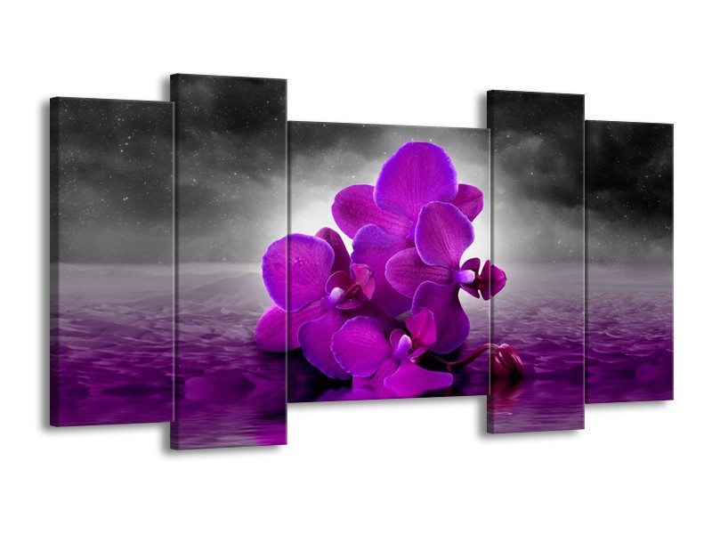 Canvas schilderij Orchidee | Paars, Grijs | 120x65 5Luik