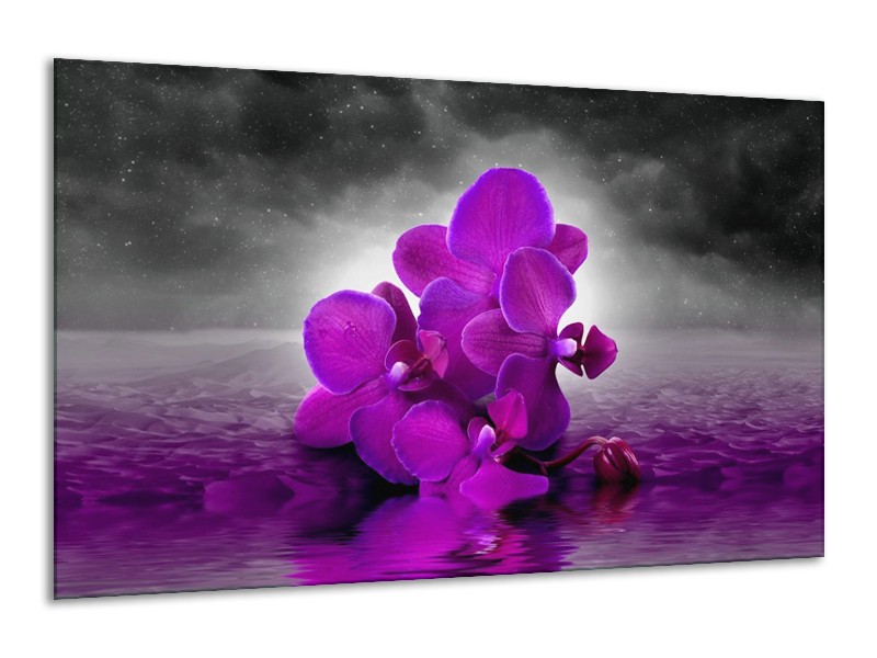 Canvas schilderij Orchidee | Paars, Grijs | 120x70cm 1Luik