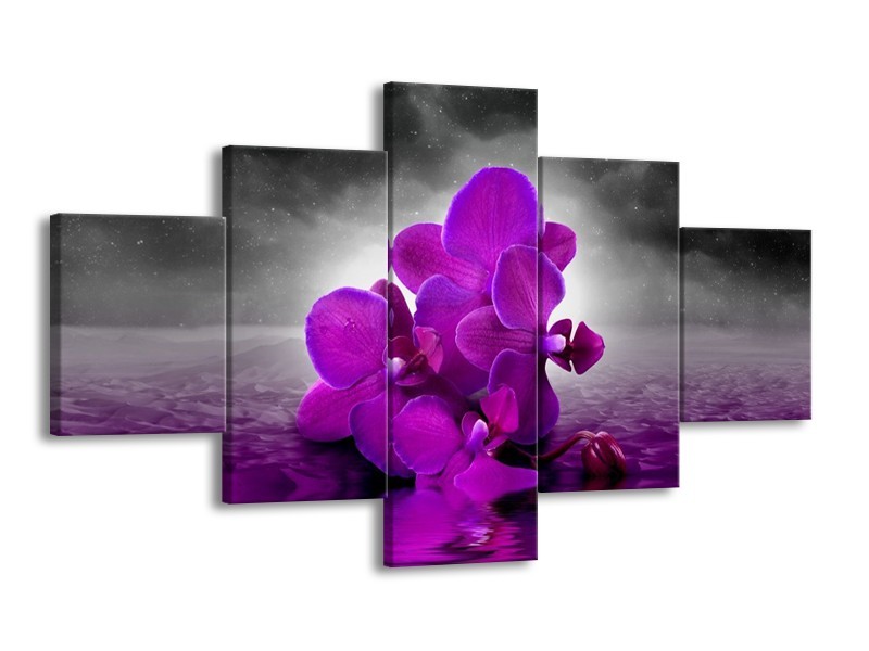 Canvas schilderij Orchidee | Paars, Grijs | 125x70cm 5Luik