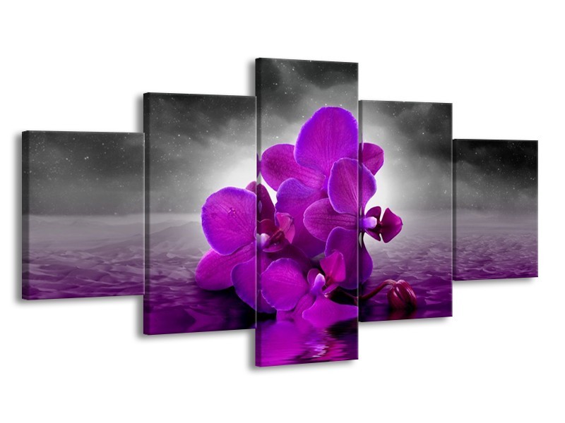Canvas schilderij Orchidee | Paars, Grijs | 150x80cm 5Luik