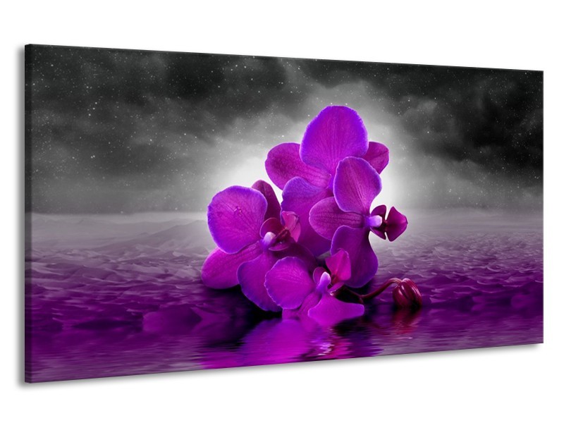 Canvas schilderij Orchidee | Paars, Grijs | 190x100cm 1Luik