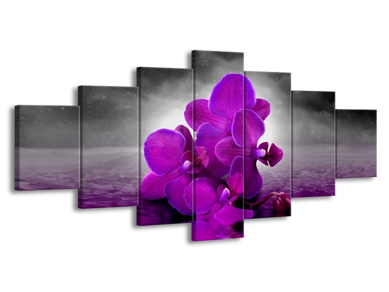Glas schilderij Orchidee | Paars, Grijs | 210x100cm 7Luik