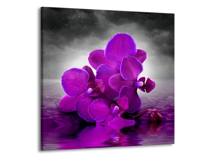 Canvas schilderij Orchidee | Paars, Grijs | 50x50cm 1Luik