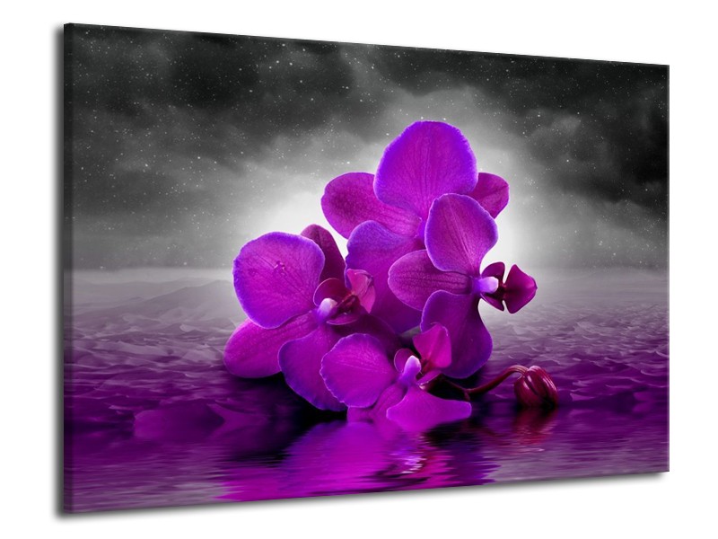 Canvas schilderij Orchidee | Paars, Grijs | 70x50cm 1Luik