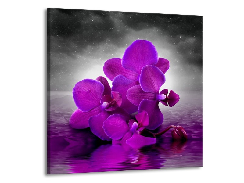 Canvas schilderij Orchidee | Paars, Grijs | 70x70cm 1Luik