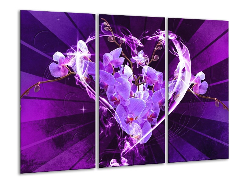 Glas schilderij Orchidee | Paars, Roze | 120x80cm 3Luik