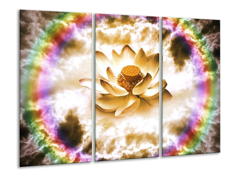 Glas schilderij Lelie | Bruin, Crème, Paars | 120x80cm 3Luik