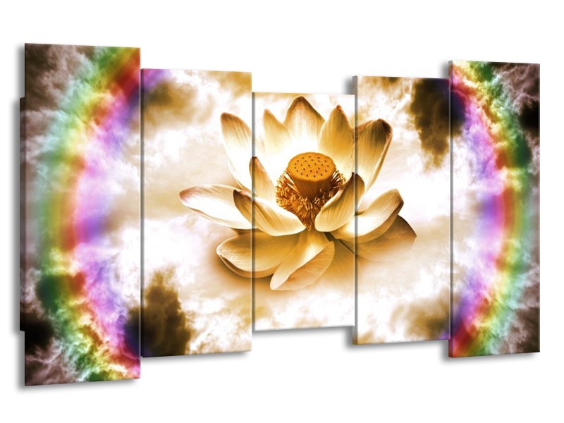 Canvas schilderij Lelie | Bruin, Crème, Paars | 150x80cm 5Luik