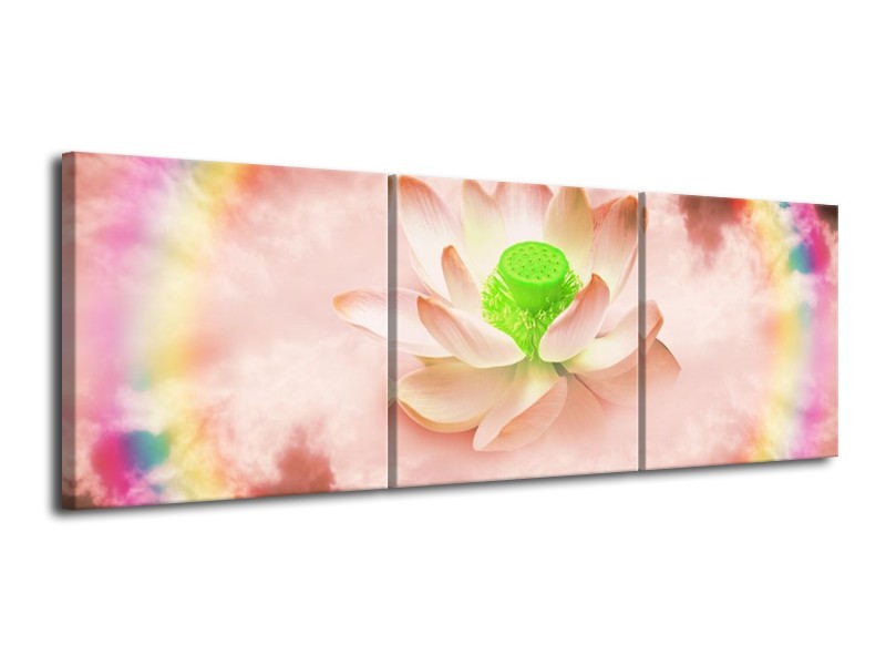 Glas schilderij Lelie | Roze, Groen | 120x40cm 3Luik