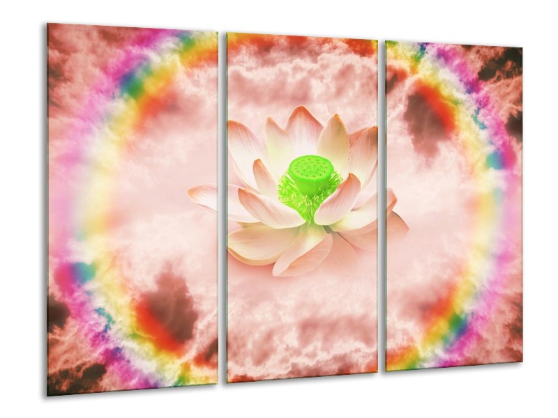 Glas schilderij Lelie | Roze, Groen | 120x80cm 3Luik