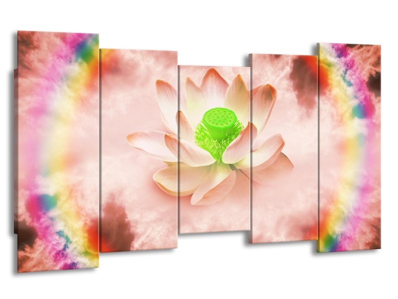 Canvas schilderij Lelie | Roze, Groen | 150x80cm 5Luik