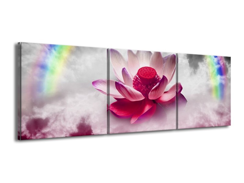 Canvas schilderij Lelie | Roze, Grijs | 150x50cm 3Luik