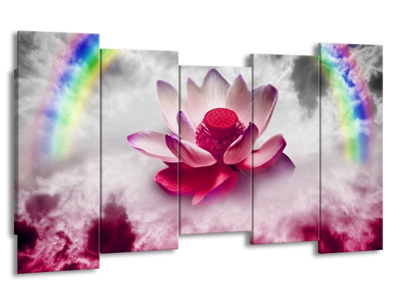 Canvas schilderij Lelie | Roze, Grijs | 150x80cm 5Luik