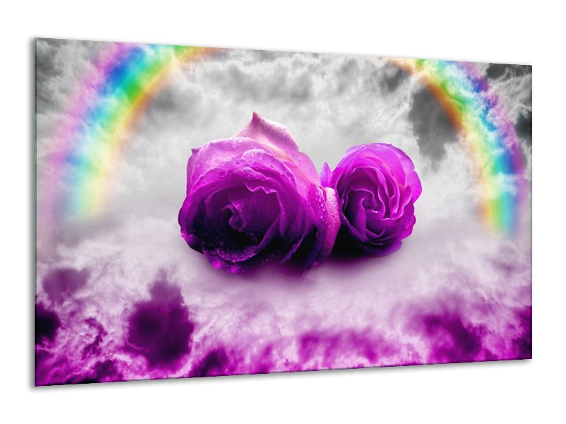 Glas schilderij Roos | Paars, Grijs | 120x70cm 1Luik