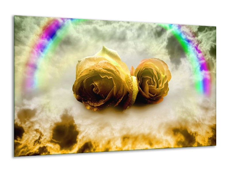 Glas schilderij Roos | Geel, Grijs | 120x70cm 1Luik