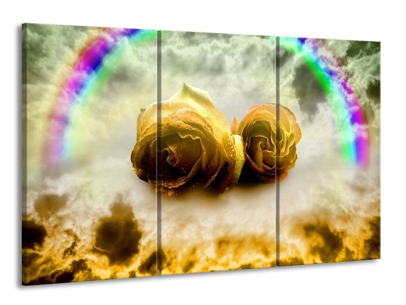 Glas schilderij Roos | Geel, Grijs | 165x100cm 3Luik