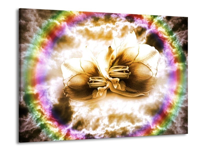 Canvas schilderij Lelie | Bruin, Crème | 100x70cm 1Luik