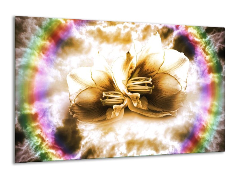 Glas schilderij Lelie | Bruin, Crème | 120x70cm 1Luik