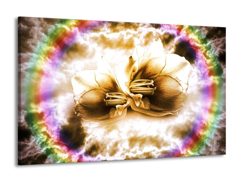 Glas schilderij Lelie | Bruin, Crème | 140x90cm 1Luik