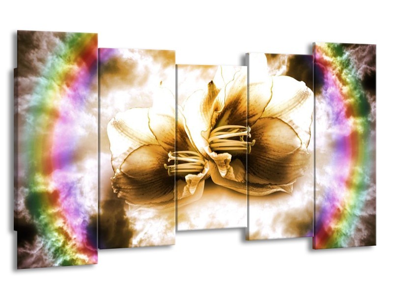 Canvas schilderij Lelie | Bruin, Crème | 150x80cm 5Luik