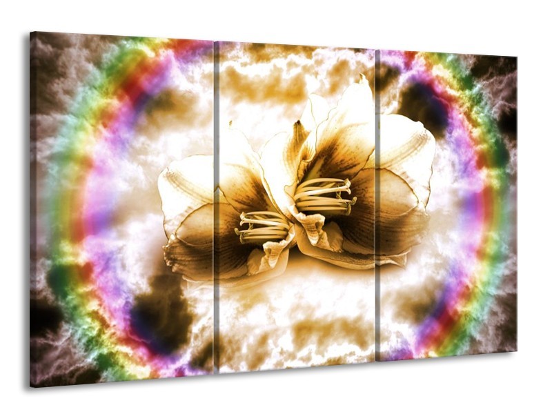 Glas schilderij Lelie | Bruin, Crème | 165x100cm 3Luik