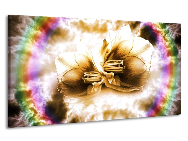 Canvas schilderij Lelie | Bruin, Crème | 190x100cm 1Luik