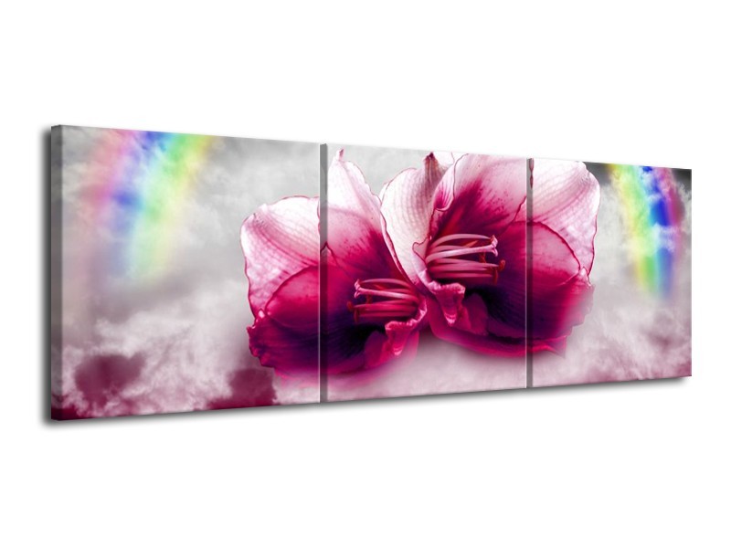 Canvas schilderij Lelie | Roze, Grijs | 120x40cm 3Luik