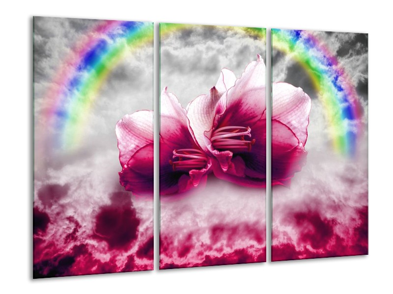 Canvas schilderij Lelie | Roze, Grijs | 120x80cm 3Luik