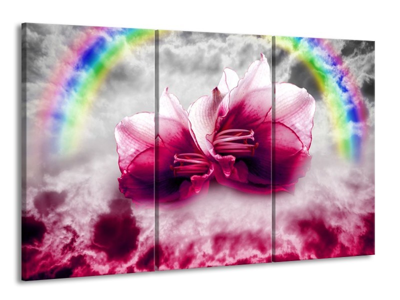 Glas schilderij Lelie | Roze, Grijs | 165x100cm 3Luik