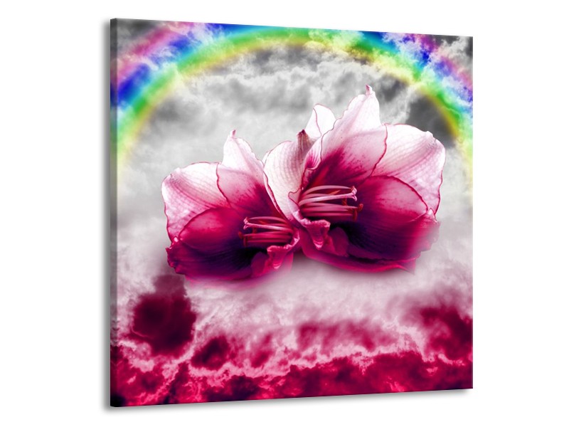 Canvas schilderij Lelie | Roze, Grijs | 70x70cm 1Luik