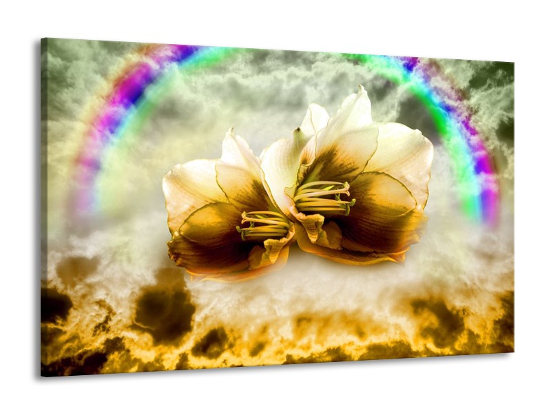 Glas schilderij Lelie | Bruin, Grijs | 140x90cm 1Luik