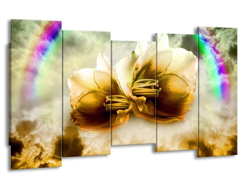 Canvas schilderij Lelie | Bruin, Grijs | 150x80cm 5Luik