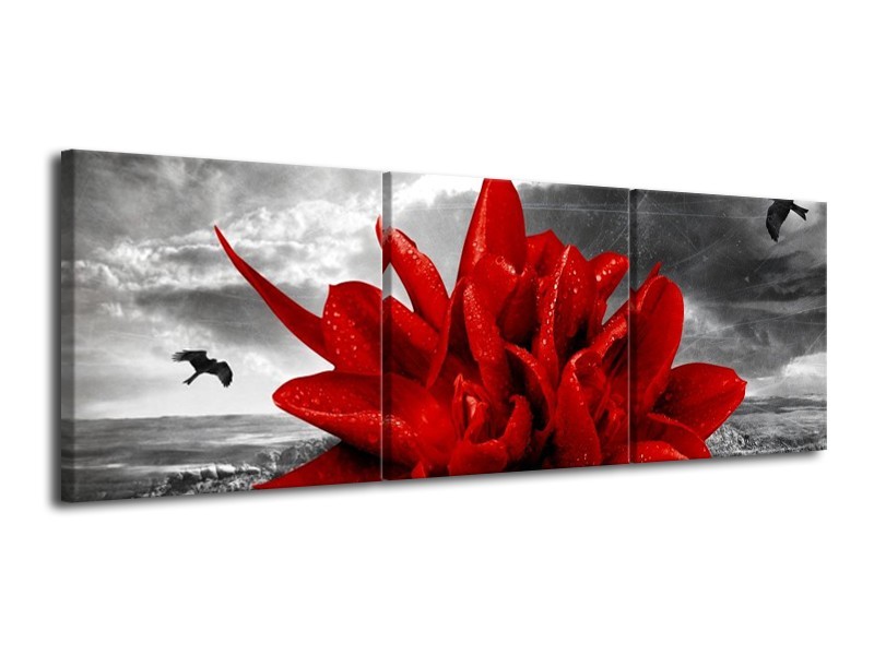 Canvas schilderij Lelie | Rood, Grijs | 120x40cm 3Luik