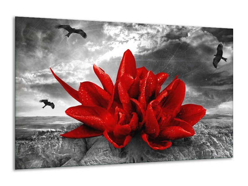 Glas schilderij Lelie | Rood, Grijs | 120x70cm 1Luik