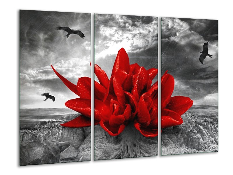 Canvas schilderij Lelie | Rood, Grijs | 120x80cm 3Luik