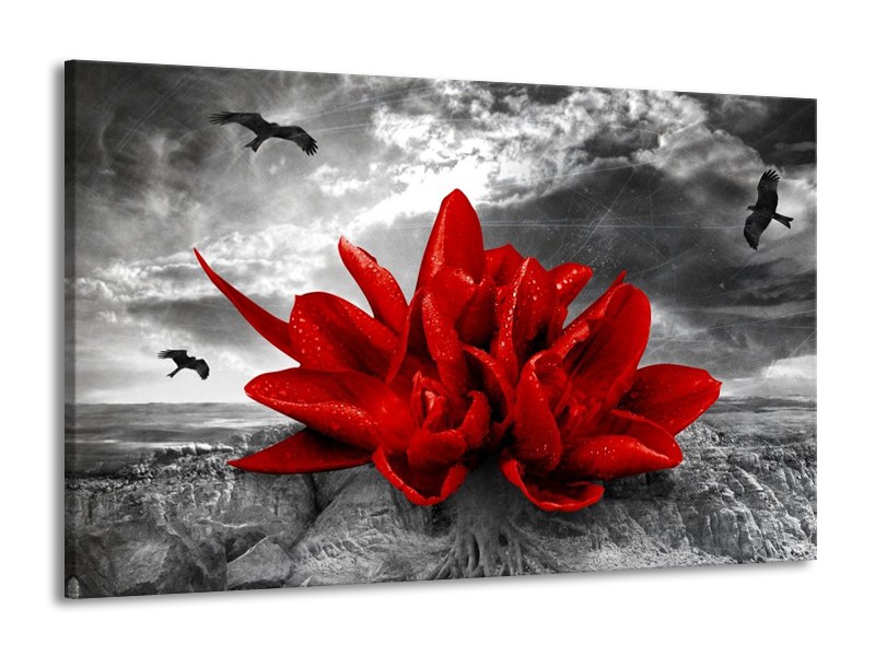 Glas schilderij Lelie | Rood, Grijs | 140x90cm 1Luik