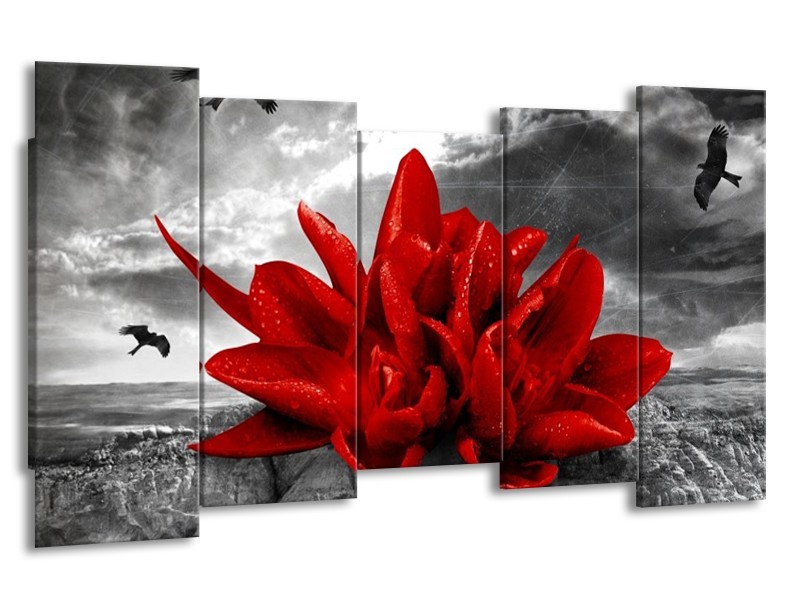 Canvas schilderij Lelie | Rood, Grijs | 150x80cm 5Luik