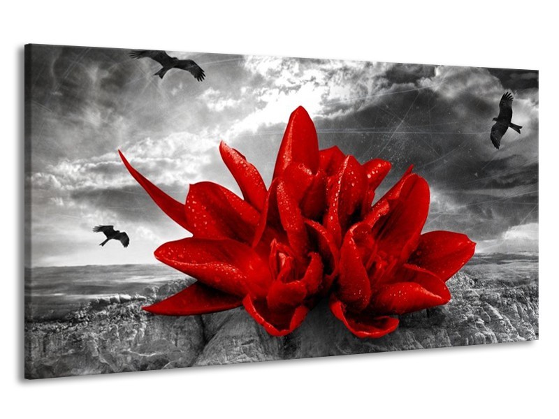 Canvas schilderij Lelie | Rood, Grijs | 190x100cm 1Luik