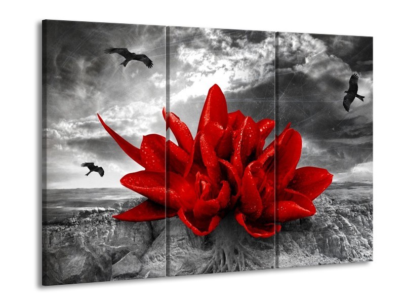 Canvas schilderij Lelie | Rood, Grijs | 90x60cm 3Luik