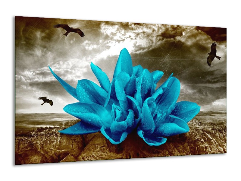 Glas schilderij Lelie | Blauw, Grijs | 120x70cm 1Luik