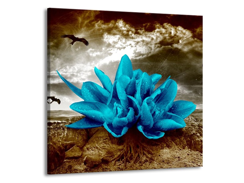 Glas schilderij Lelie | Blauw, Grijs | 70x70cm 1Luik