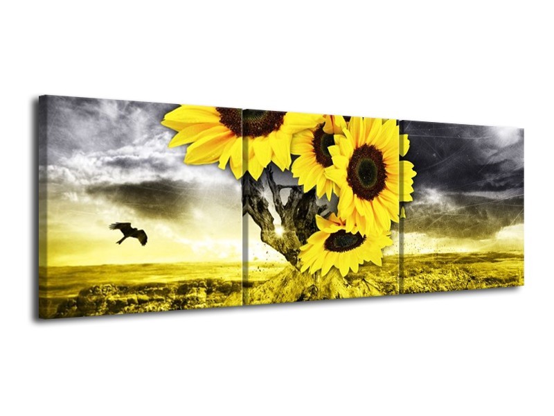 Canvas schilderij Zonnebloem | Geel, Grijs | 120x40cm 3Luik